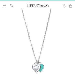 Tiffany & Co Necklace
